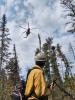 Firefighter looks up helicopter during Delta Lake Fire suppression. Photo by Jimmy Gumm courtesy the US Forest Service